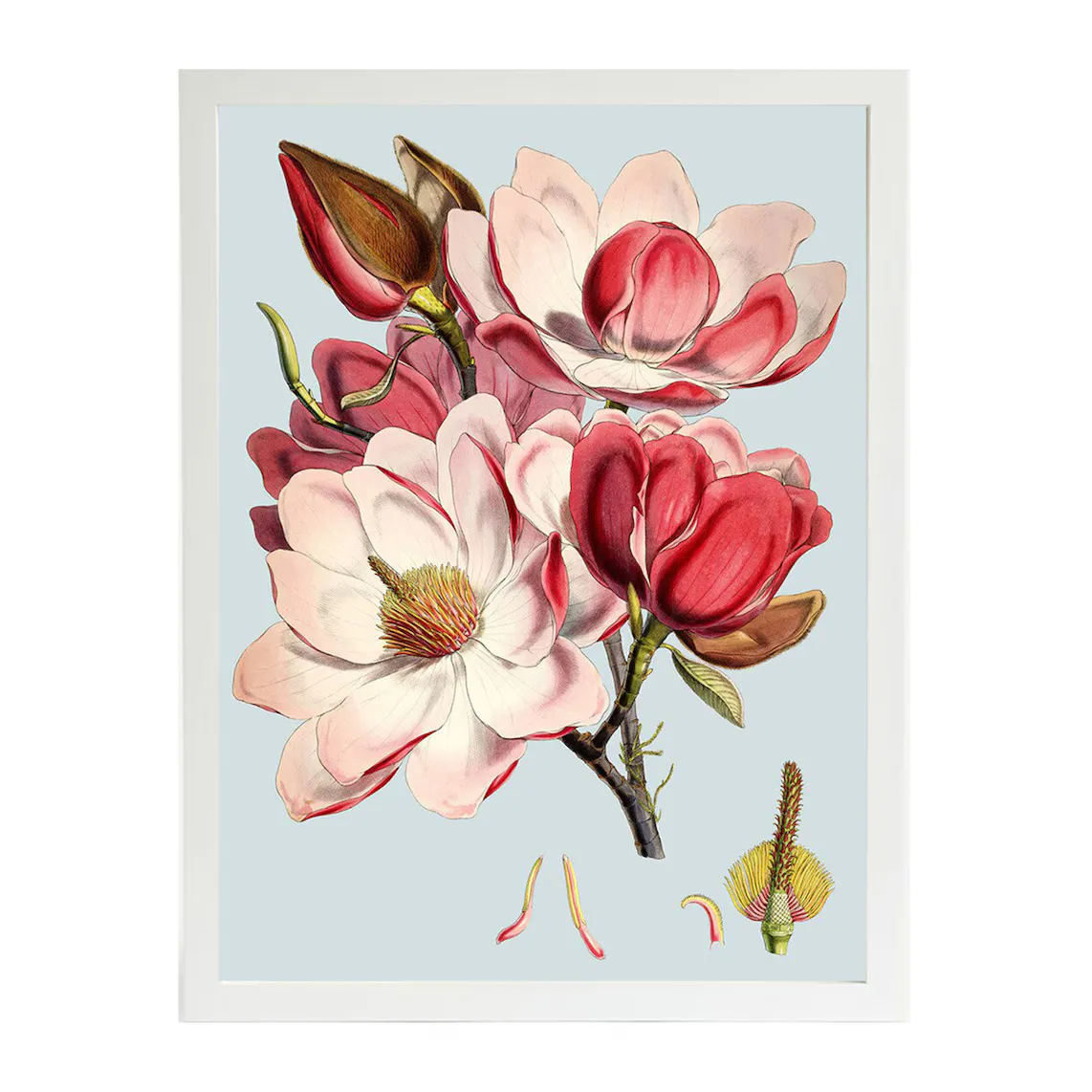

Lam Peonies Flowers Print PSTR Studio + Marco Thor El Corte Inglés