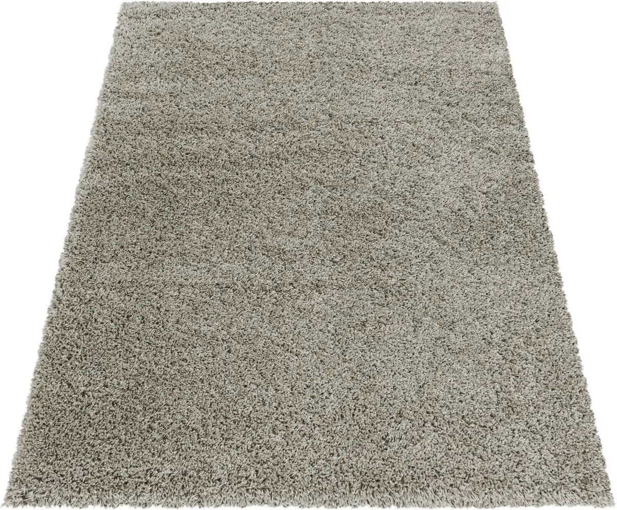 

Ayyildiz Carpets Ковер Shaggy "SYDNEY 3000", прямоугольный, для гостиной Ayyildiz Teppiche 120х170 см, цвет natur