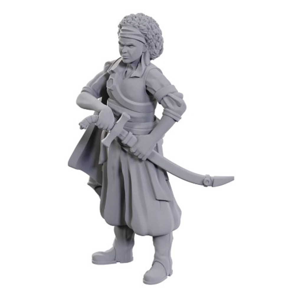 

Миниатюра WizKids/NECA D&D Nolzur's Marvelous Unpainted Minis: W23 Ansalon Human Rogue