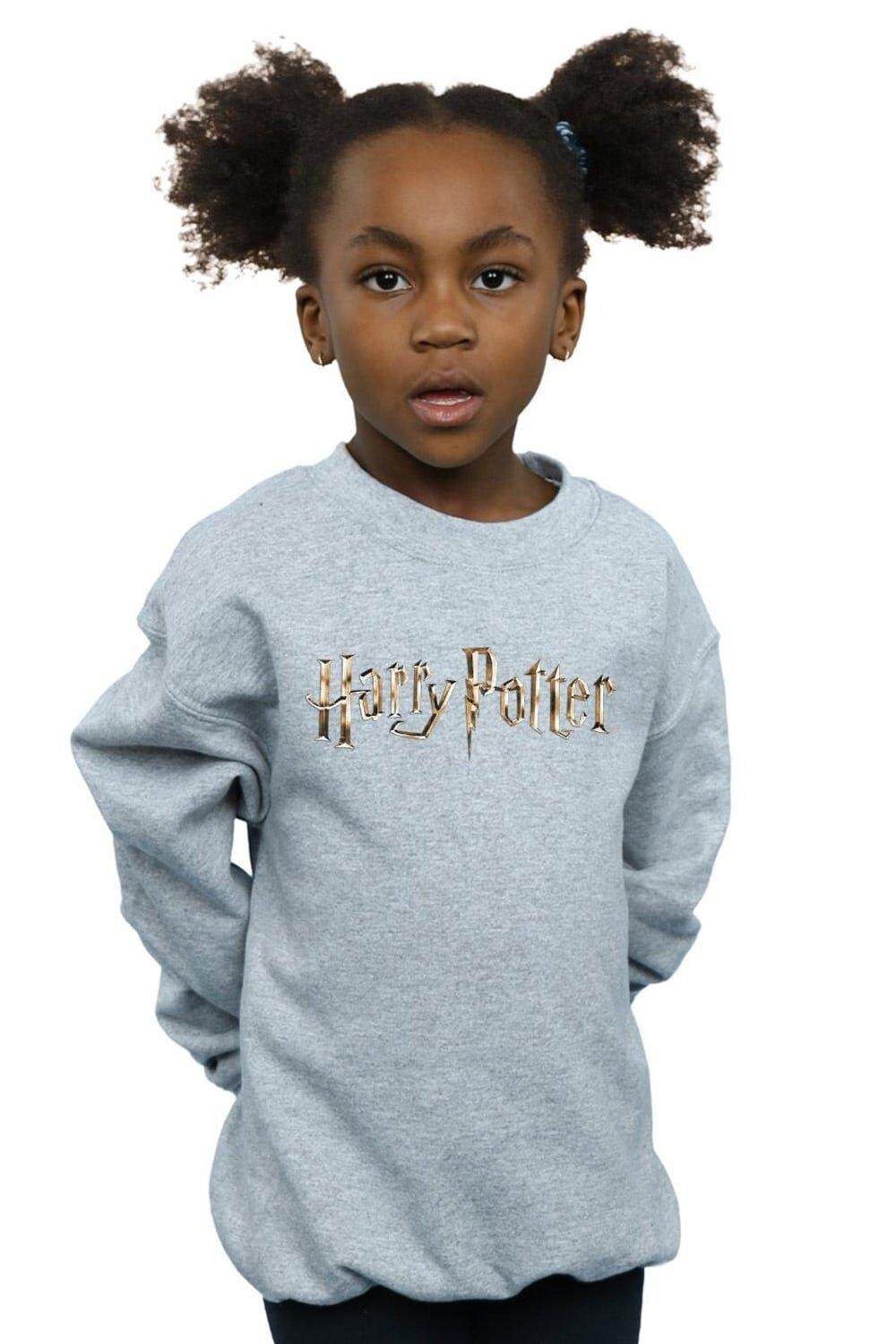 

Толстовка с полноцветным логотипом Harry Potter, серый