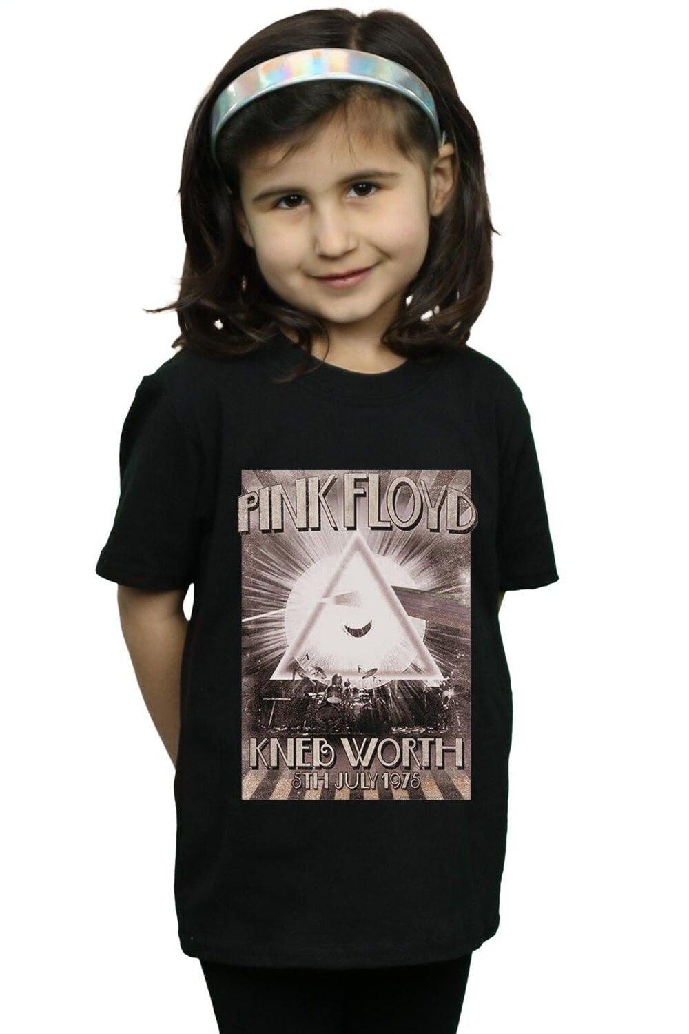

Хлопковая футболка Knebworth с плакатом Pink Floyd, черный