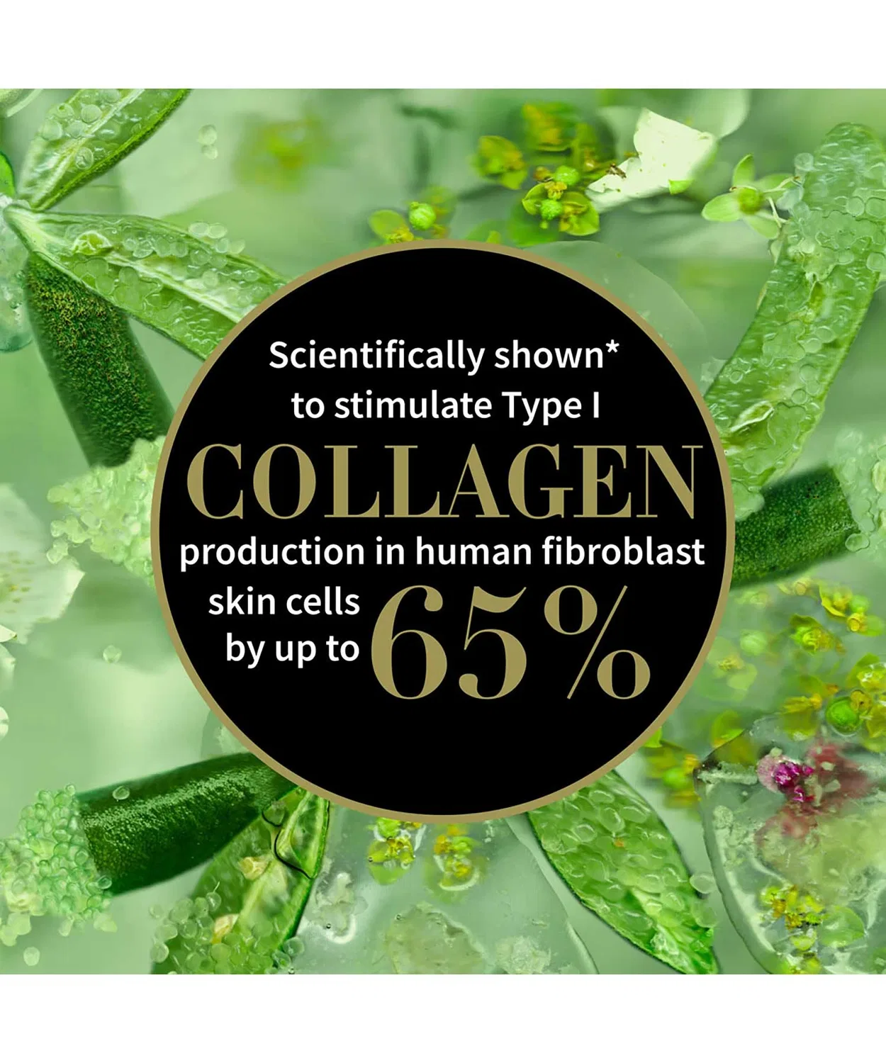 Дневной крем Lime Caviar Collagen Rich Cream Antipodes 60 мл — фото 2