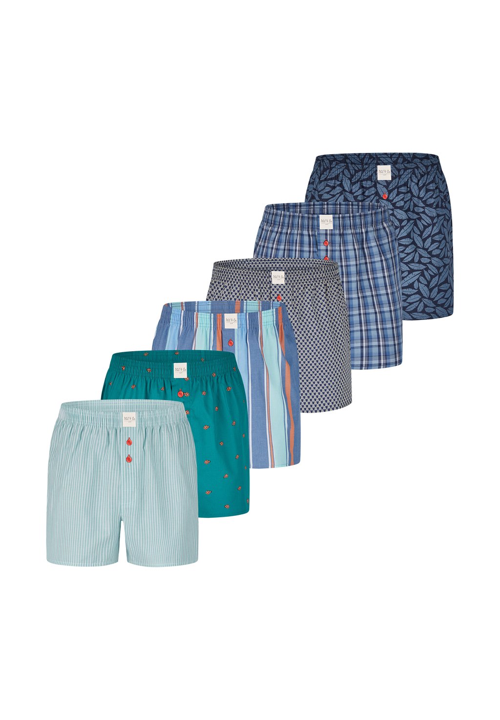 

Боксеры 6-PACK CLASSIC Phil & Co. Berlin, зеленый