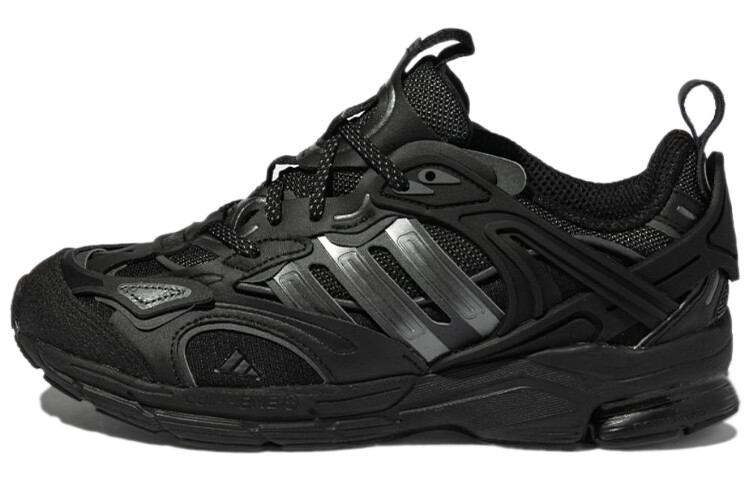 

Кроссовки Adidas Spiritain 2000 унисекс