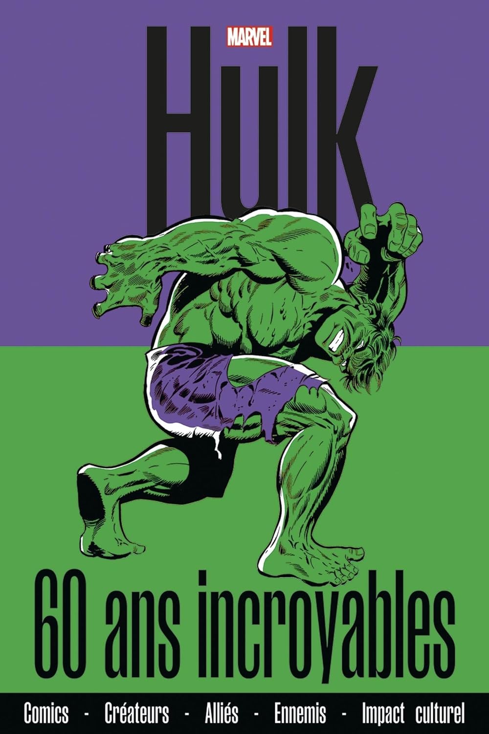 

Hulk : 60 ans incroyables (PANINI)