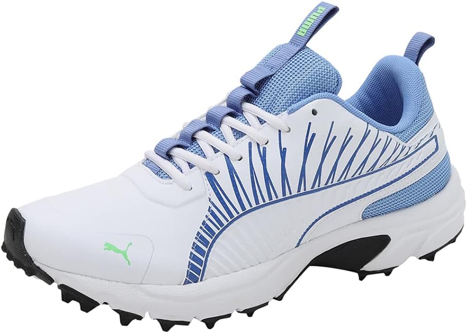 

Мужские крикетные кроссовки Puma Cricket Square, синий/зеленый