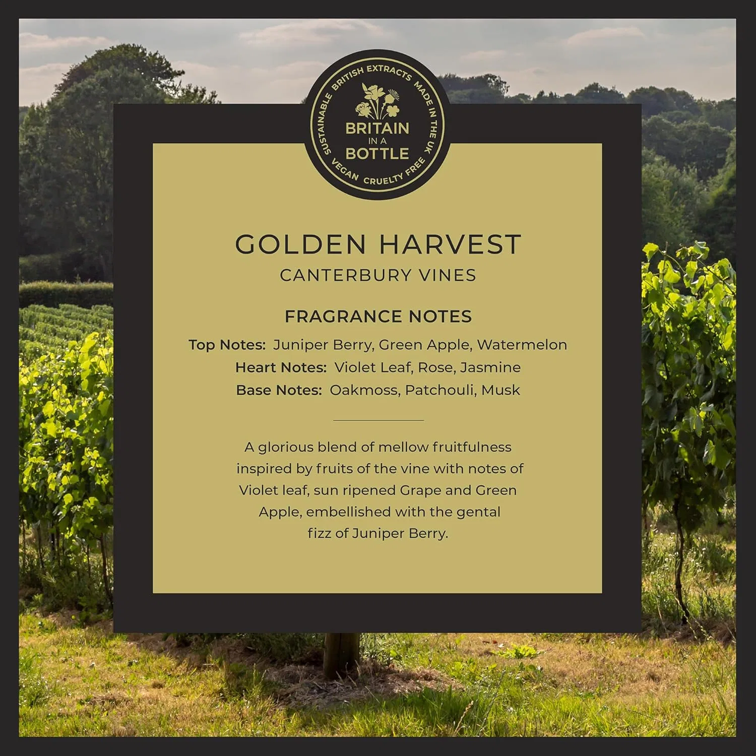 Жидкое мыло для рук «Golden Harvest» от Noble Isle, 300 мл Noble Isle — фото 2