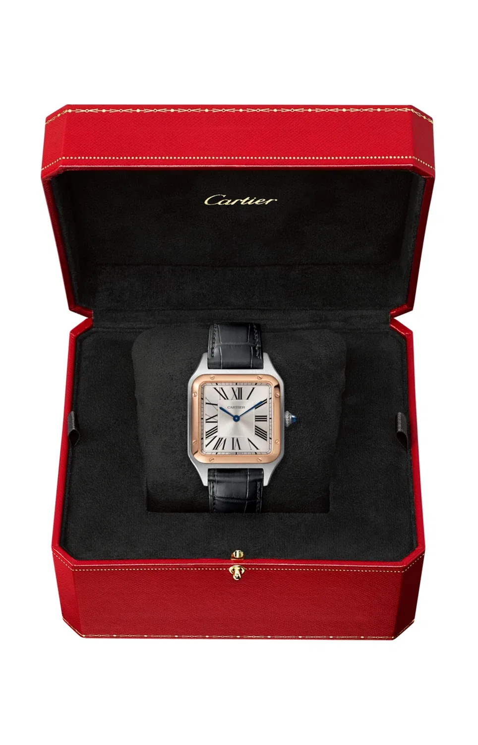 SANTOS DUMONT МОДЕЛЬ БОЛЬШАЯ, ЗОЛОТО И СТАЛЬ, КОЖА АЛЛИГАТОРА - W2SA0011 - W2SA0011 CARTIER, золотой — фото 2