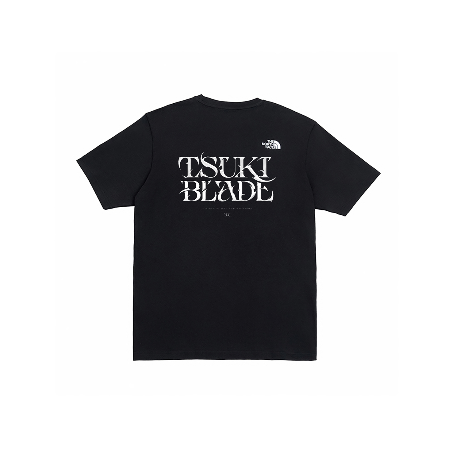 

THE NORTH FACE Футболка мужская черная, Черный, THE NORTH FACE Футболка мужская черная