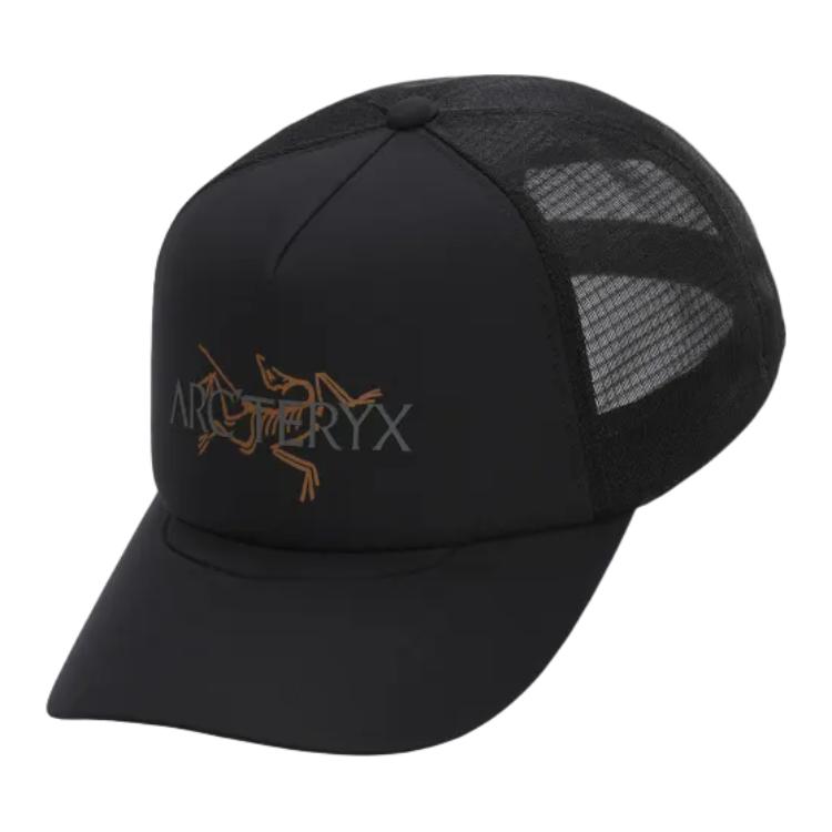 

Arcteryx Бейсболка мужская черная, Black