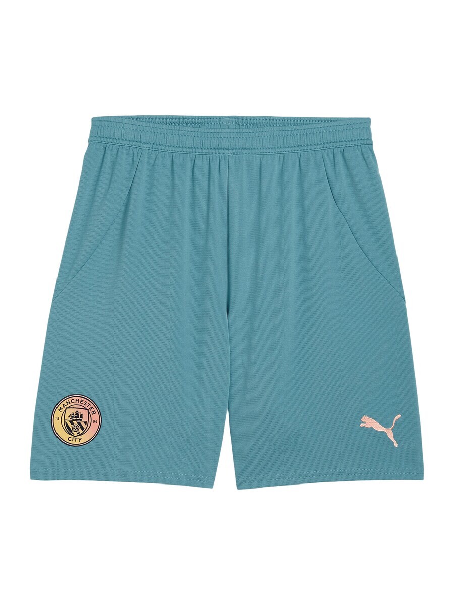 

Шорты PUMA Regular Workout Pants, синий