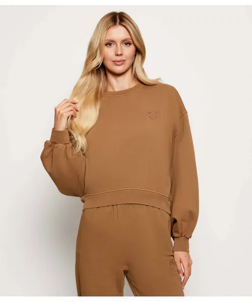 

Толстовка Relaxed fit Pinko, коричневый
