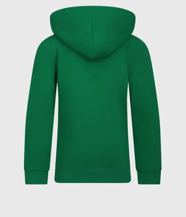Сезонная толстовка regular fit Polo Ralph Lauren, зеленый — фото 2