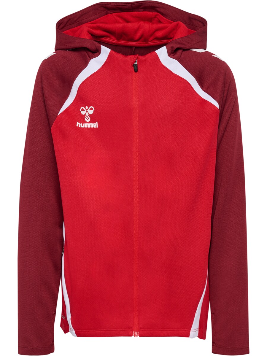 

Спортивная толстовка с капюшоном на молнии Hummel Ead 2.0, красный