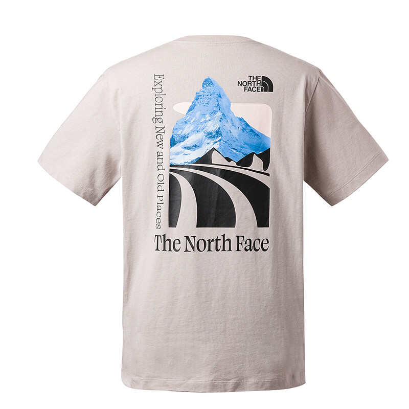 

Футболка мужская серая The North Face, серый