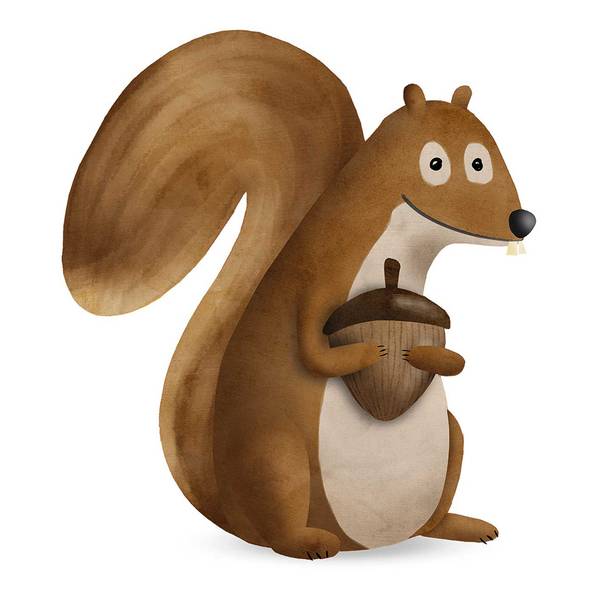 

Фреска Komar Cute Animal Squirrel цвет weiß/braun