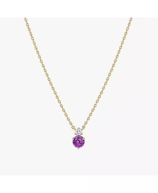 

Ожерелье с двумя камнями-зодиаками, покрытое 14-каратным золотом, идея для личного подарка на праздник Bearfruit Jewelry, amethyst