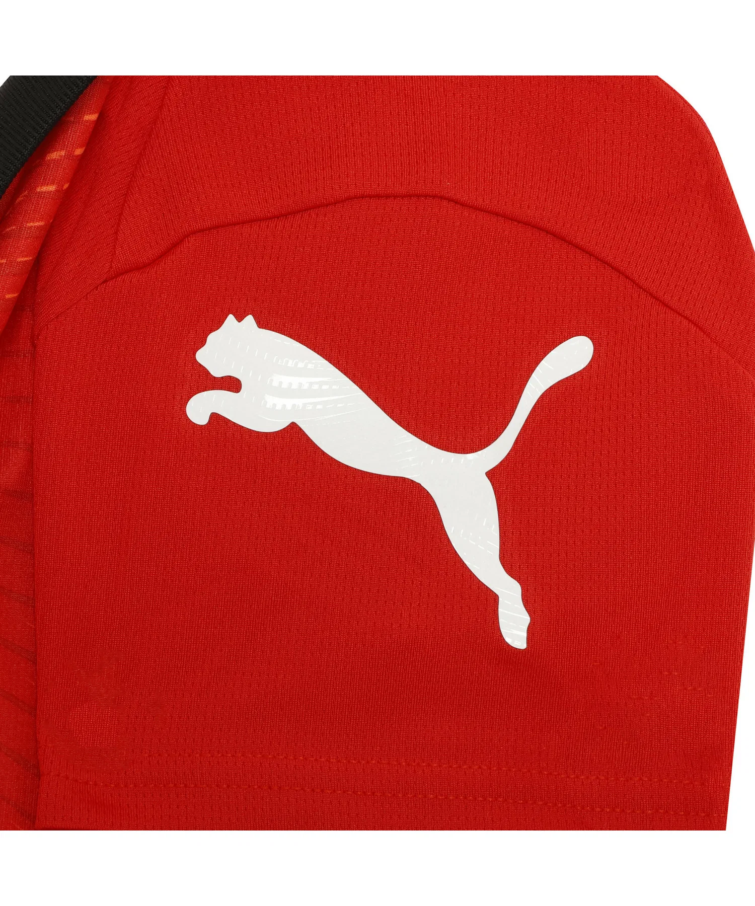 Детская футболка PUMA INDIVIFINAL Jersey — фото 4