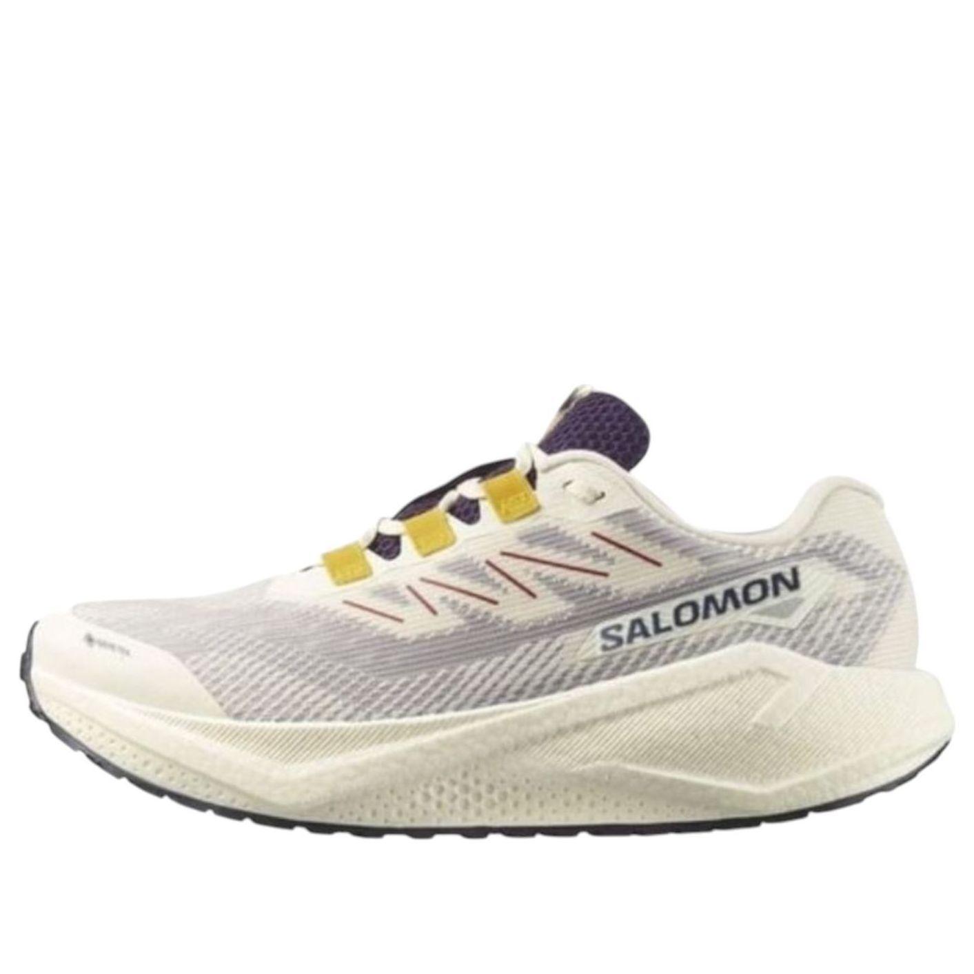 

Кроссовки SALOMON Aero Blaze 3 GRVL Gore-Tex 'Vanilla Ice'
