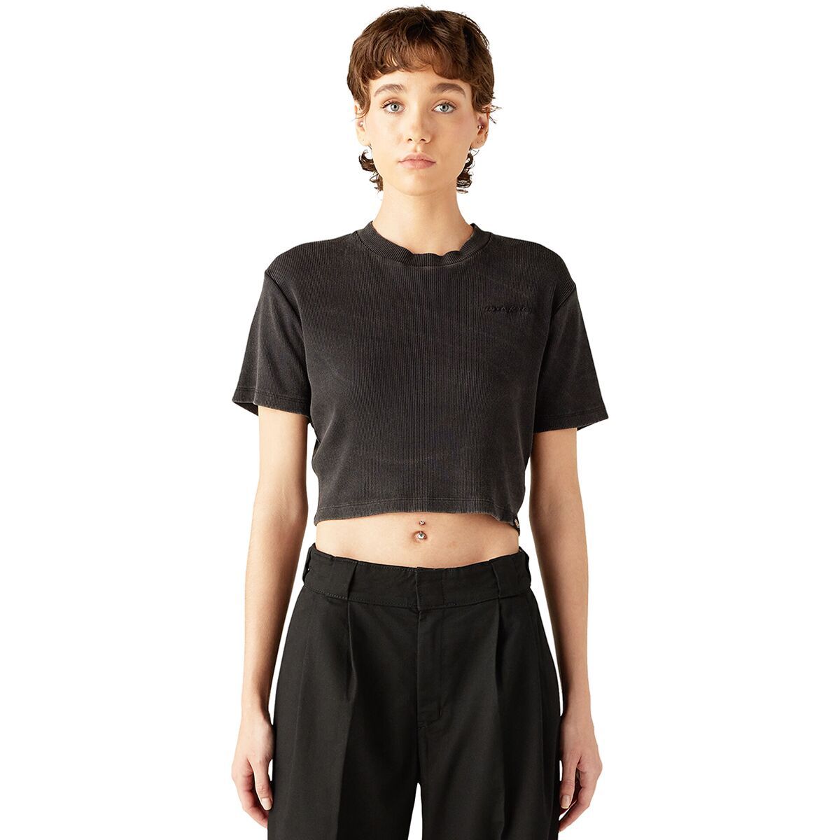 

Футболка Plentywood Dickies, черный