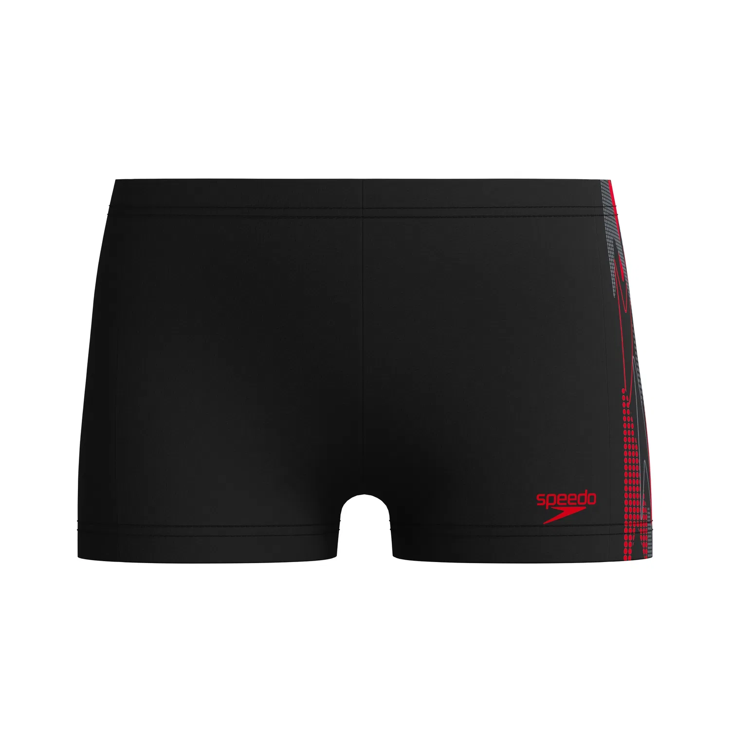 Пляжные шорты Speedo, Black