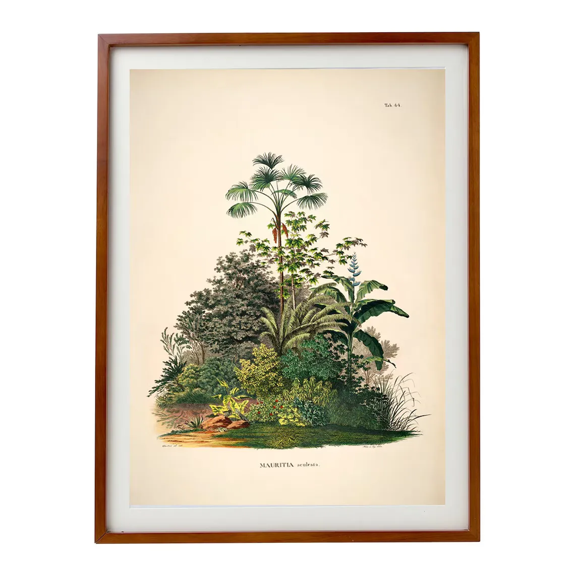 

Принт Palm Trees Jungle The Dybahl + Marco Thor El Corte Inglés, естественный