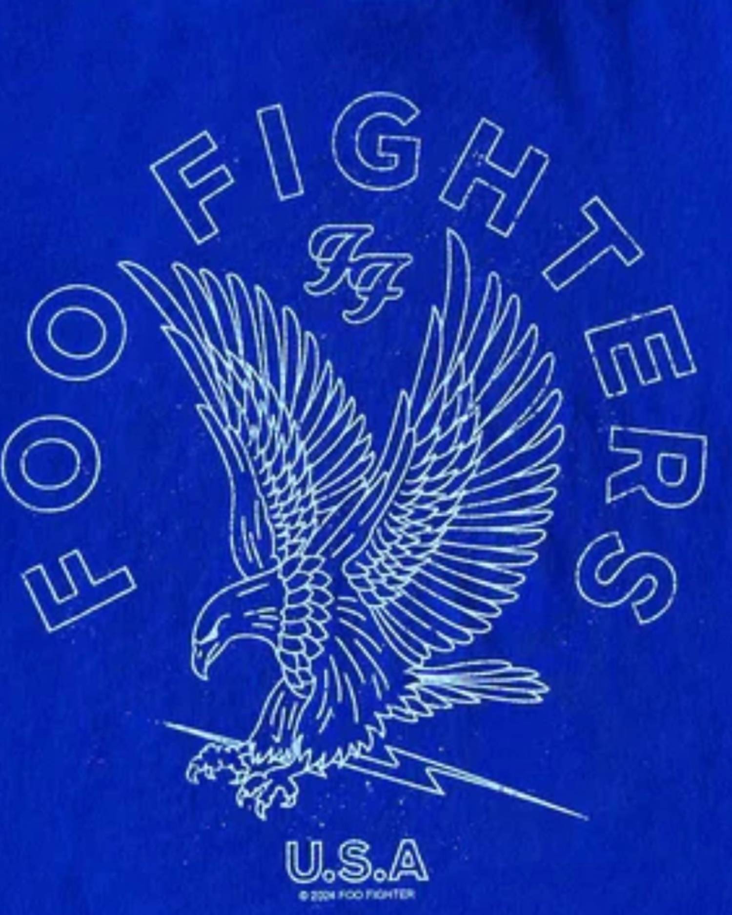 ROWDY SPROUT Мужская органическая футболка Foo Fighters синего цвета — фото 2