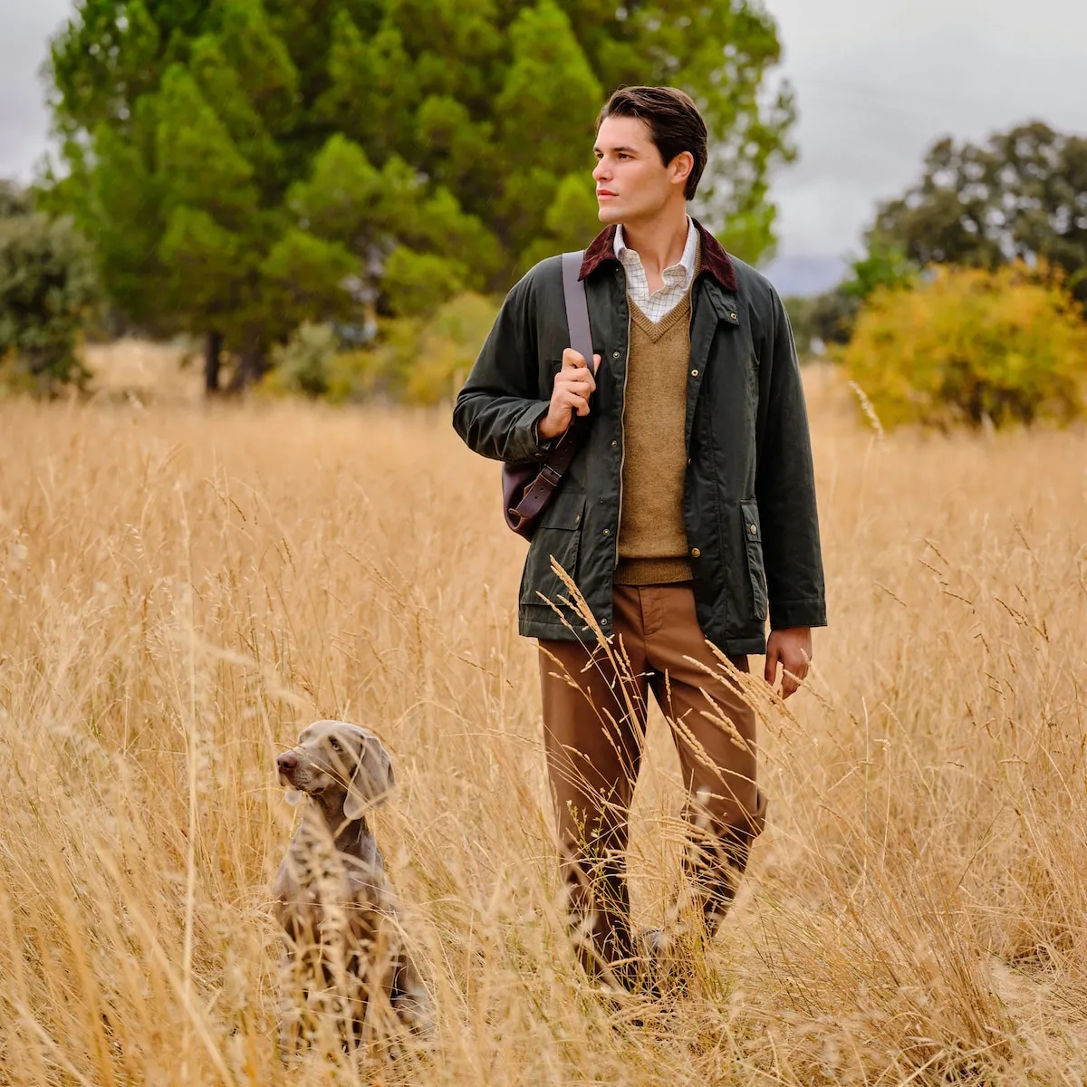 

Мужской джемпер с V-образным вырезом из шерсти ягненка Verhunt, бежевый