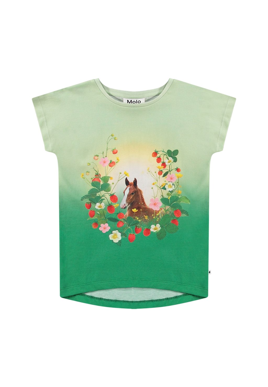 

Футболка с принтом RAGNHILDE SHORT SLEEVES Molo, зеленый