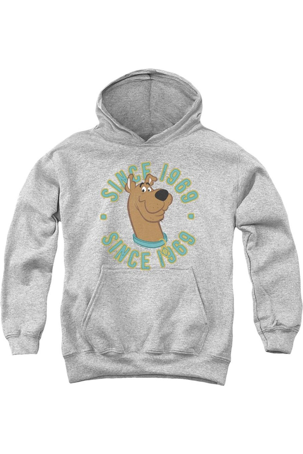 

Scooby Doo худи Scooby 1969 для подростков Gildan, Athletic Heather