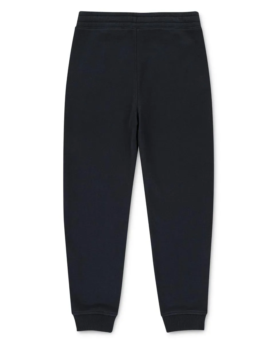 Флисовые спортивные штаны & Fitch Essential для мальчика Abercrombie, мультиколор — фото 2