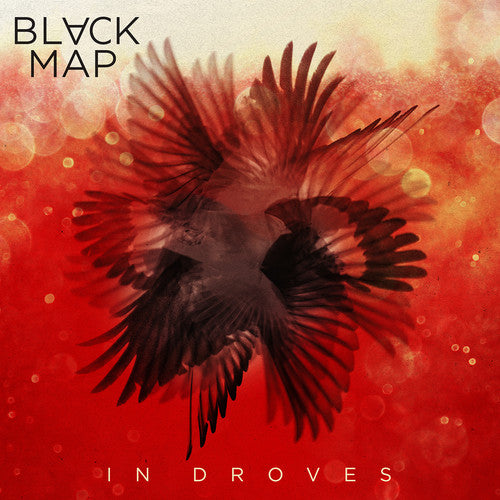 

Виниловая пластинка Black Map: In Droves