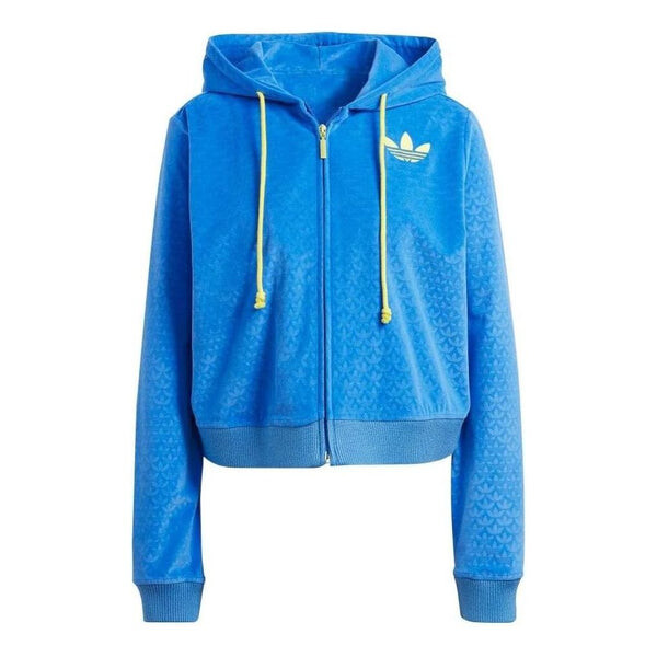 

Толстовка adicolor heritage now велюровые Толстовка на молнии Adidas, синий
