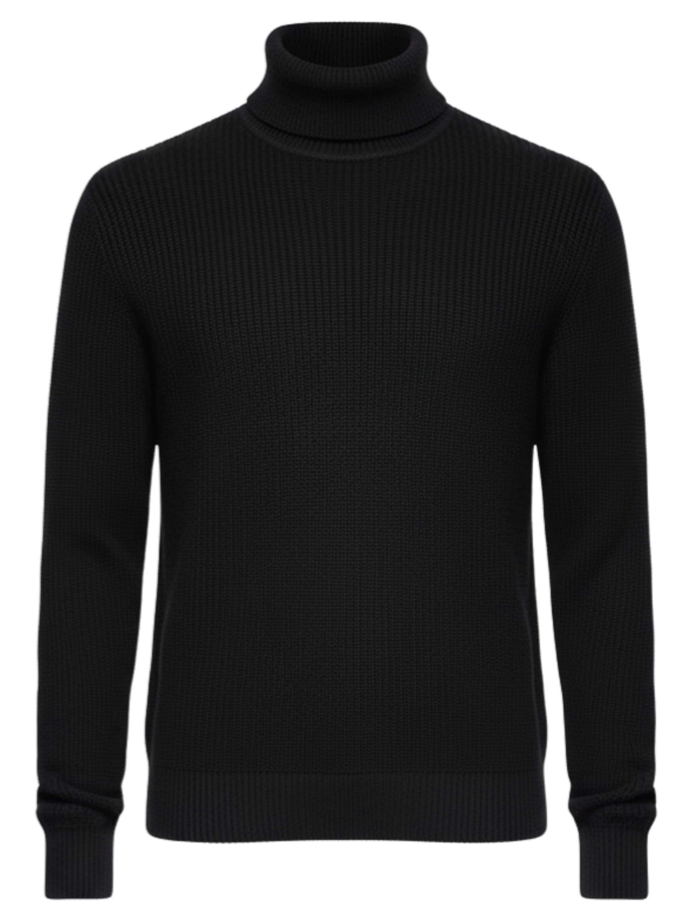 

Ombre Свитер 'OM-SWTN-0162' в черном цвете