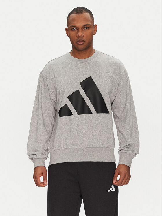 

Толстовка обычного кроя Essentials Big Logo JE8952 Adidas, серый