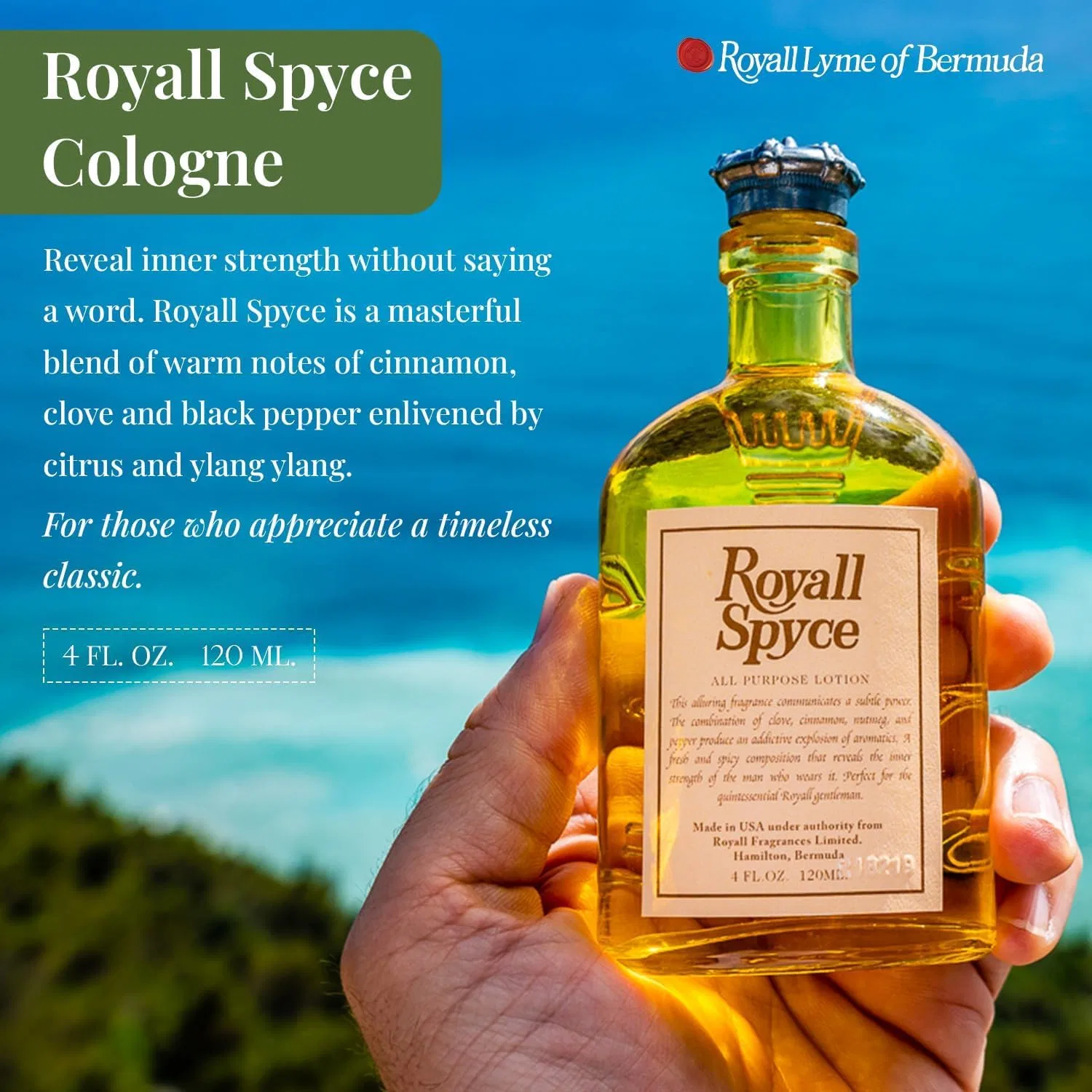 Лосьон-спрей для тела Royal Spice Machine ROYALL LYME 120 мл — фото 2