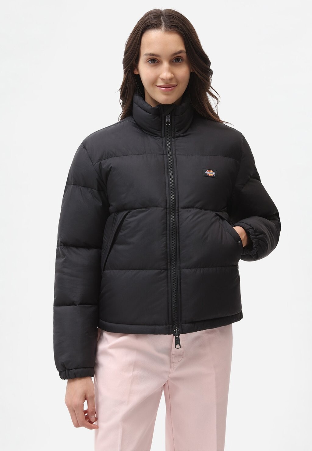 

Зимняя куртка Dickies, черный