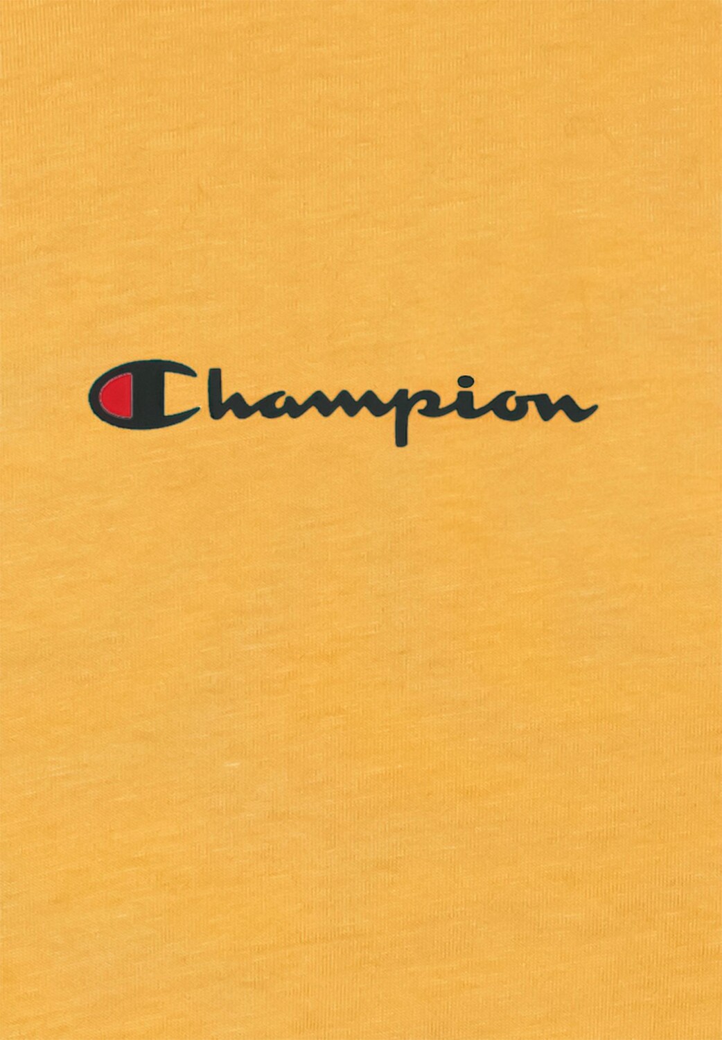 

Футболка с логотипом, хлопок, мужская Champion, цвет Bnn