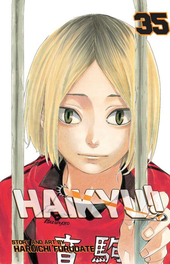 

Манга Haikyu!! Manga Volume 35