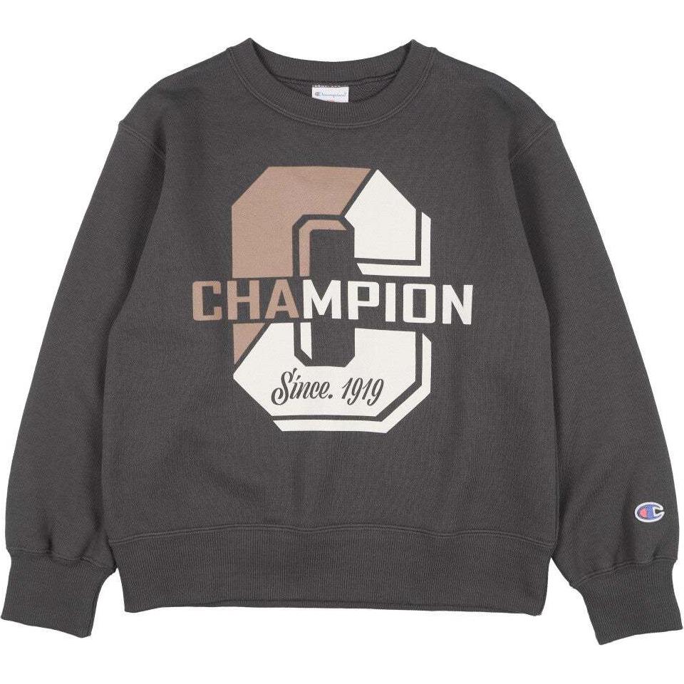 

Толстовка SS24 Детская Champion Kids, светло-серый