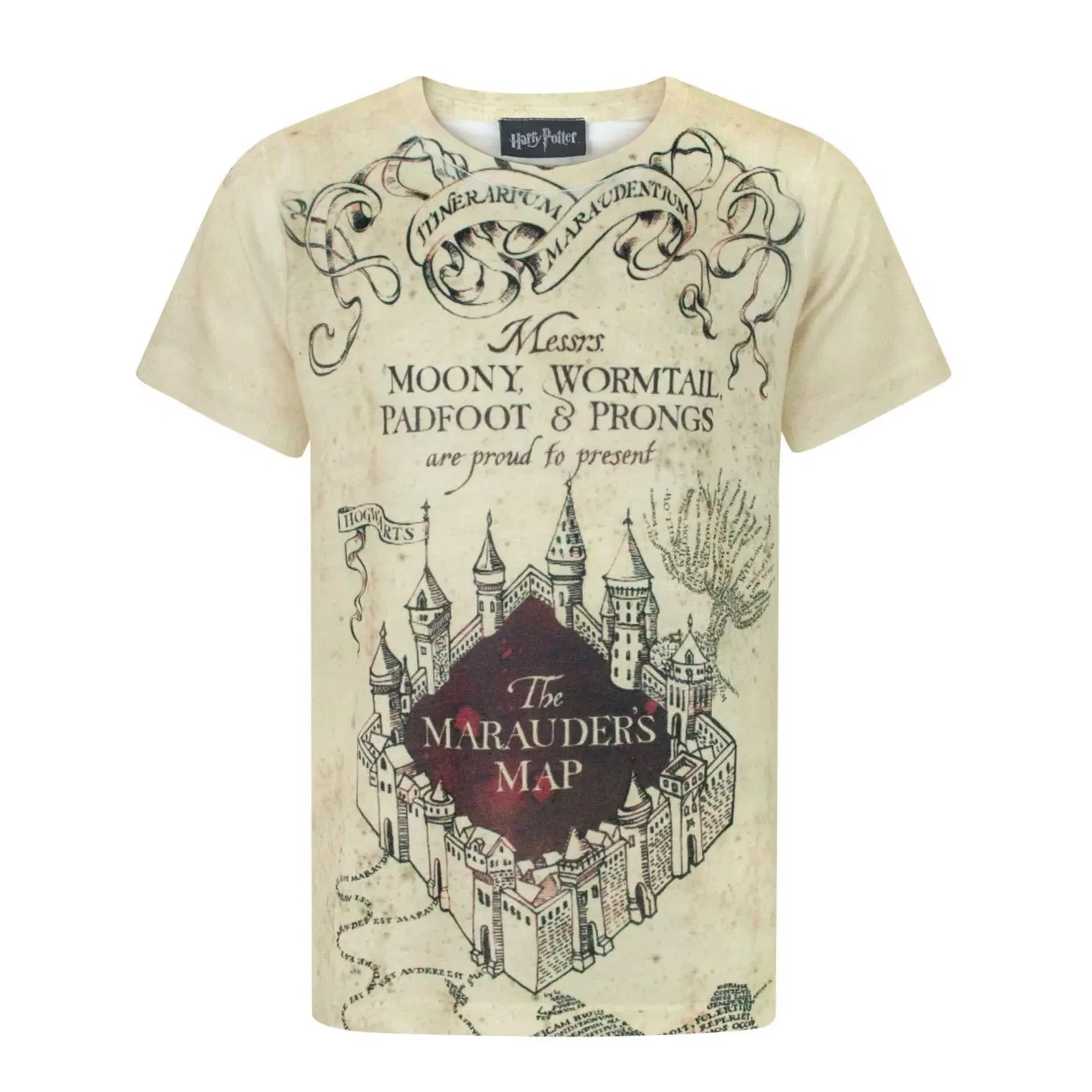 Футболка детская с принтом Карта Мародеров и Хогвартс, Harry Potter, белый