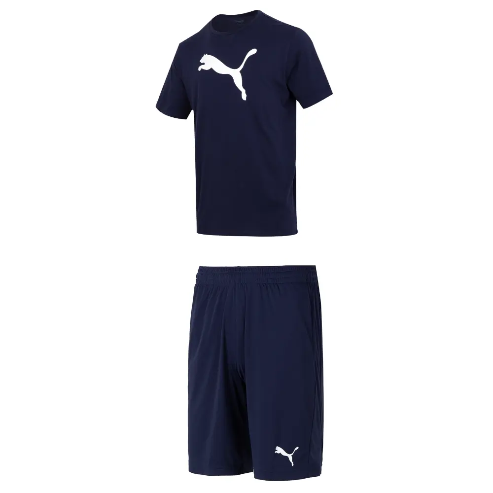 

Повседневная спортивная одежда для мужчин, синяя Puma, синий