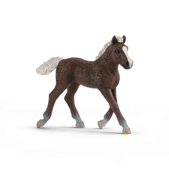 

Schleich, статуэтка, жеребенок Шварцвальдской лошади 20 футов, Коричневый, Schleich, статуэтка, жеребенок Шварцвальдской лошади 20 футов