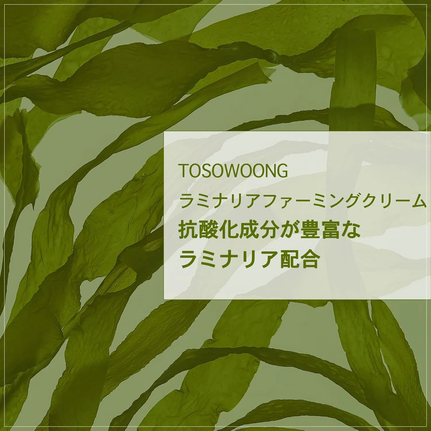 Крем для лица Tosowoong — Дневной Laminaria Firming Cream, 50 мл — фото 4