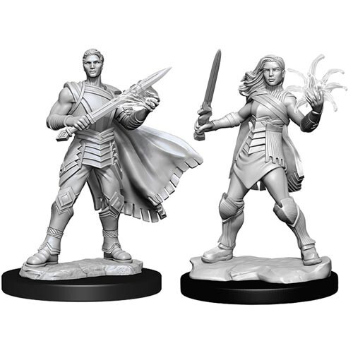 

Миниатюра WizKids/NECA Magic Unpainted Minis: W3 Rowan & Will Kenrith
