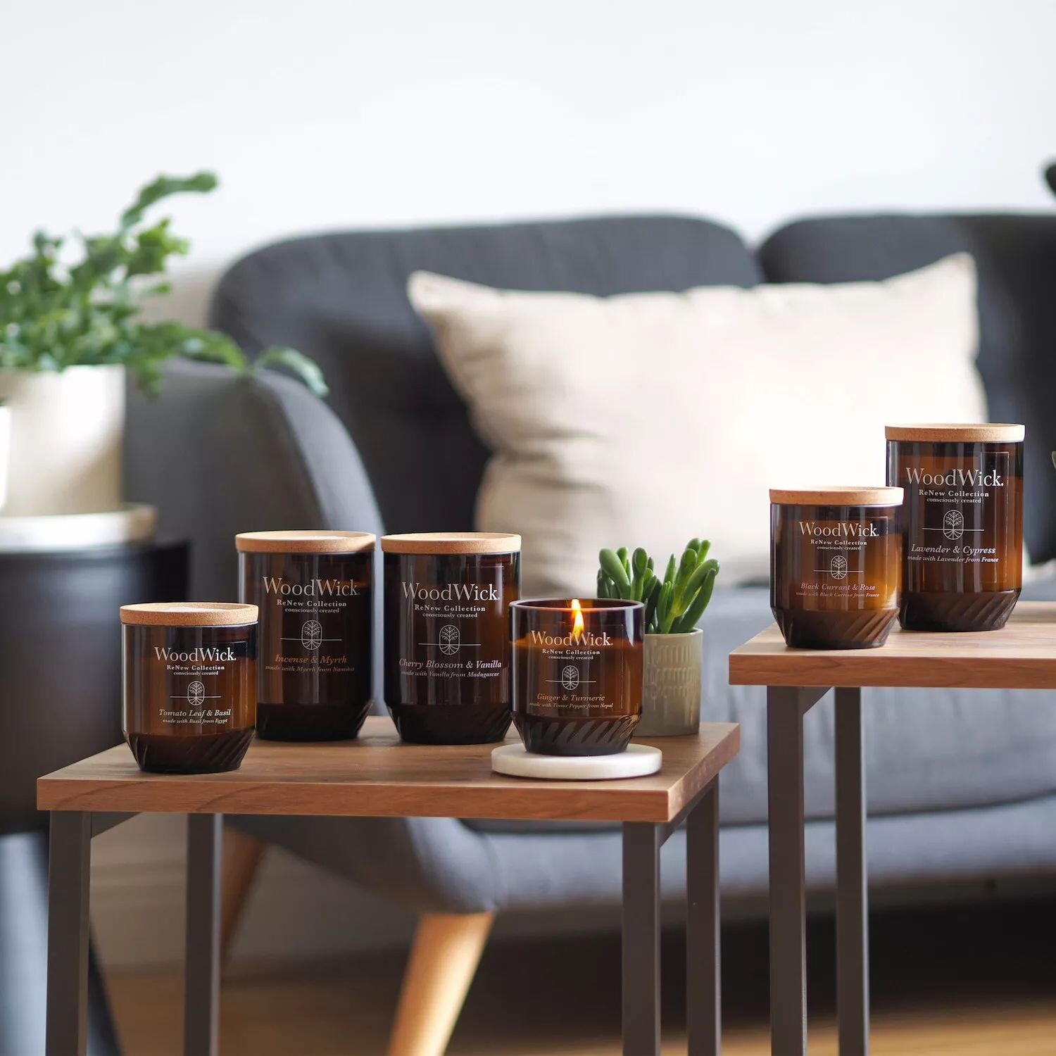 

Свеча WoodWick ReNew в средней банке с листьями томата и базиликом