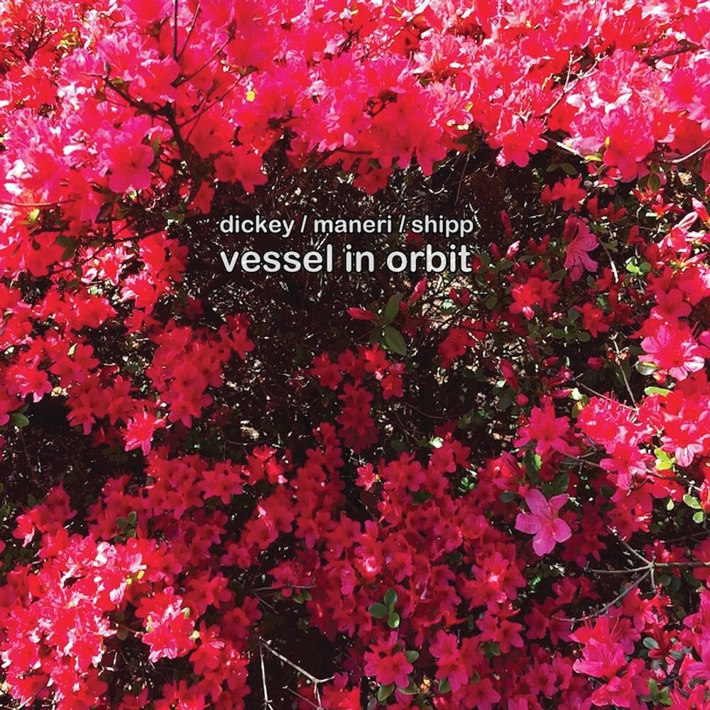 

Диск CD Vessel In Orbit - Whit Dickey, Mat Maneri, Matthew Shipp