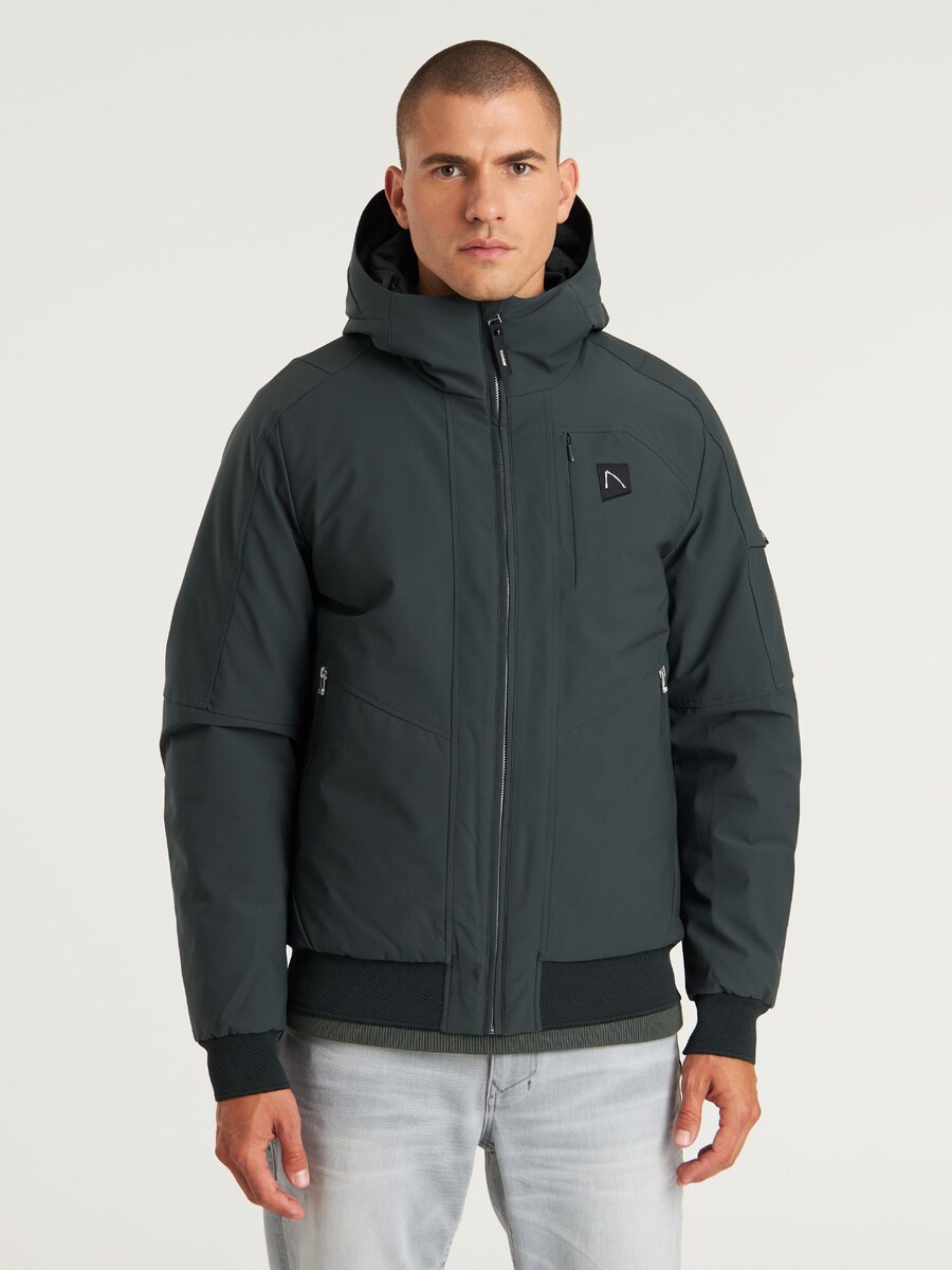 

Зимняя куртка CHASIN' Return Valley, Fir/Dark Green