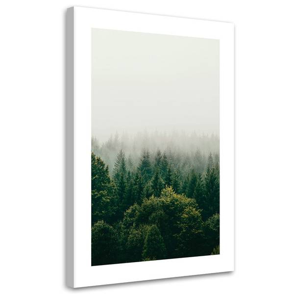 

Картина арт-принт KUNSTLOFT Foggy Evergreen Forest, зеленый