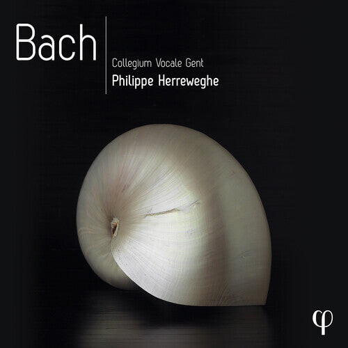

CD диск Bach, J.S. / Herreweghe / Collegium Vocale Gent: Bach